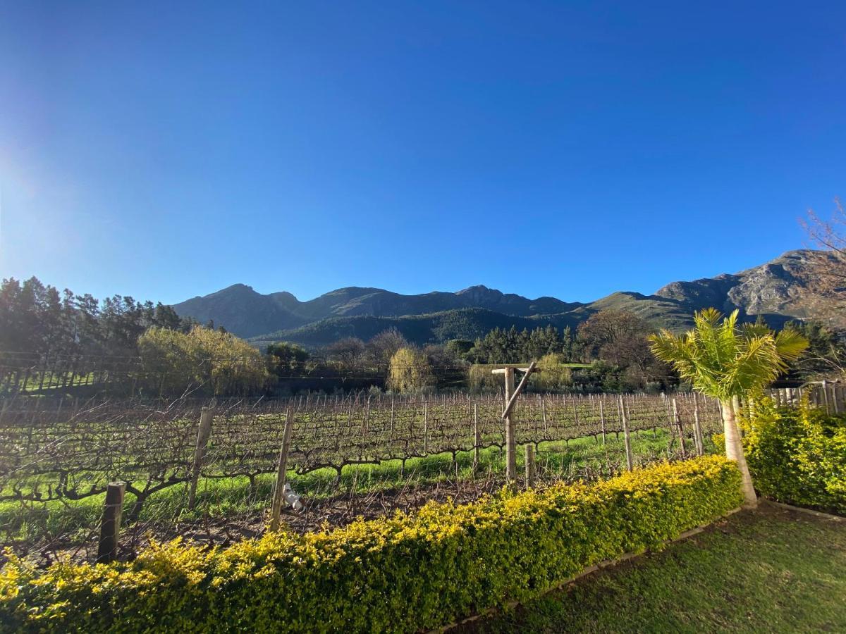 Olive And Vine Farm Cottage Franschhoek Dış mekan fotoğraf