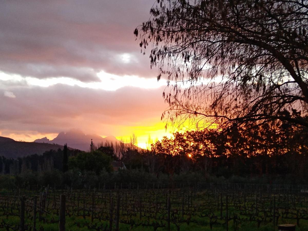 Olive And Vine Farm Cottage Franschhoek Dış mekan fotoğraf