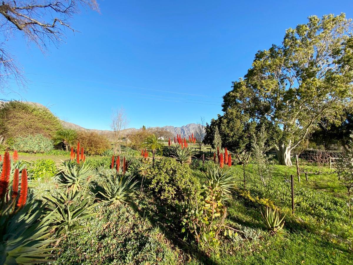 Olive And Vine Farm Cottage Franschhoek Dış mekan fotoğraf