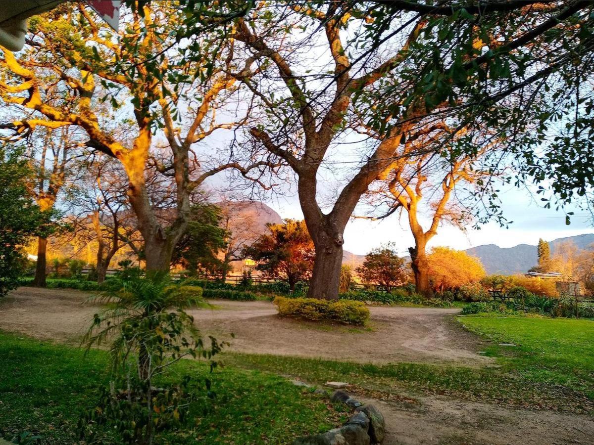 Olive And Vine Farm Cottage Franschhoek Dış mekan fotoğraf