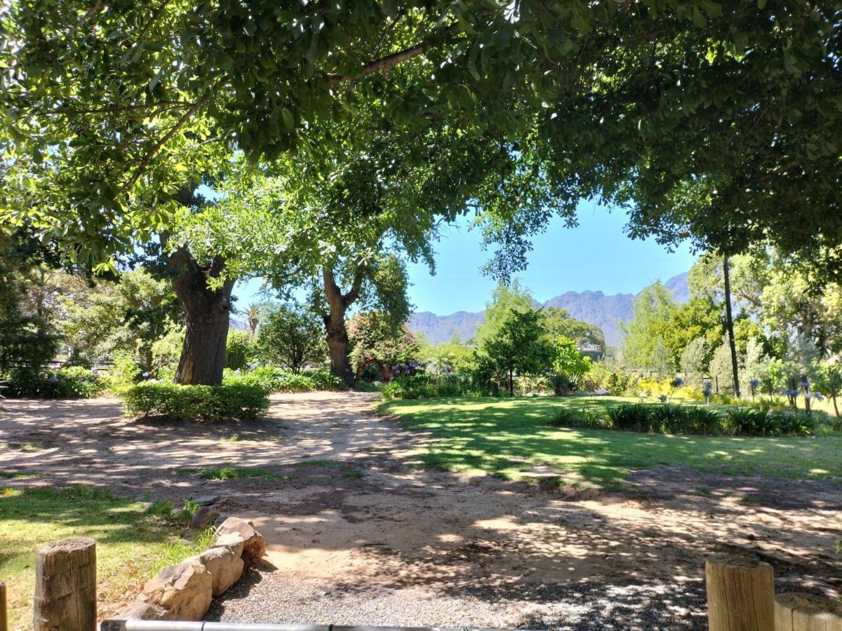 Olive And Vine Farm Cottage Franschhoek Dış mekan fotoğraf
