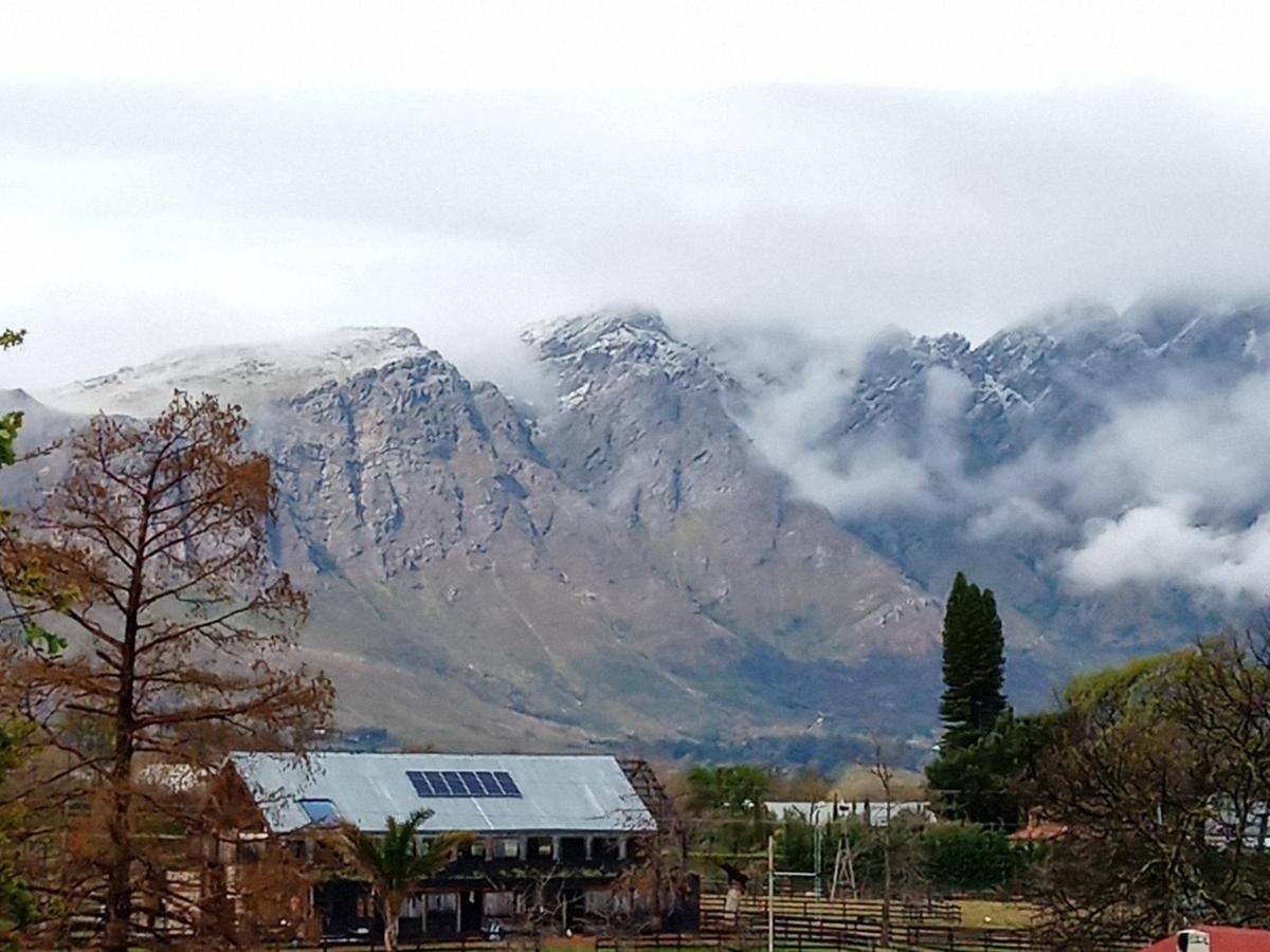 Olive And Vine Farm Cottage Franschhoek Dış mekan fotoğraf