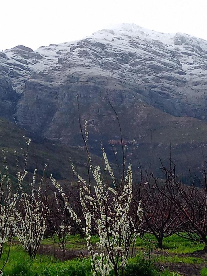Olive And Vine Farm Cottage Franschhoek Dış mekan fotoğraf