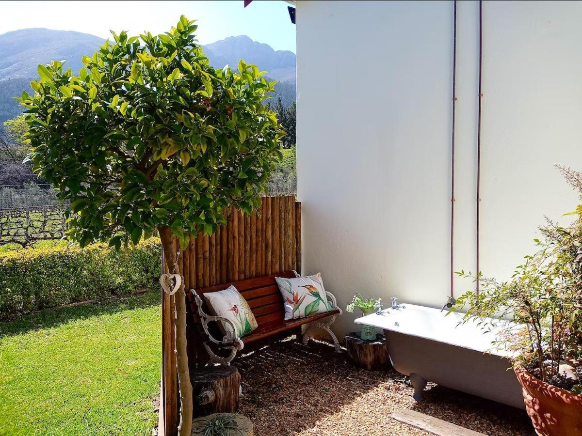 Olive And Vine Farm Cottage Franschhoek Oda fotoğraf