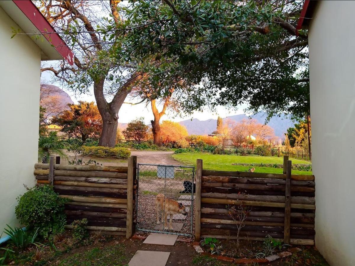 Olive And Vine Farm Cottage Franschhoek Oda fotoğraf